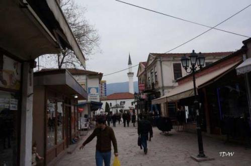 Makedonya Türk Milli Birlik Hareketi TMBH’nin Kurultayına Katıldık